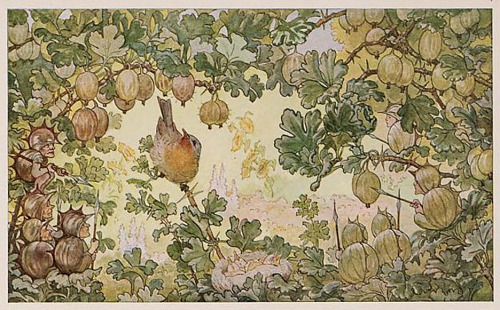 gazophylacium:Hansje in Wonderland / door M. v. Minckwitz ; tekst van A. Trelker