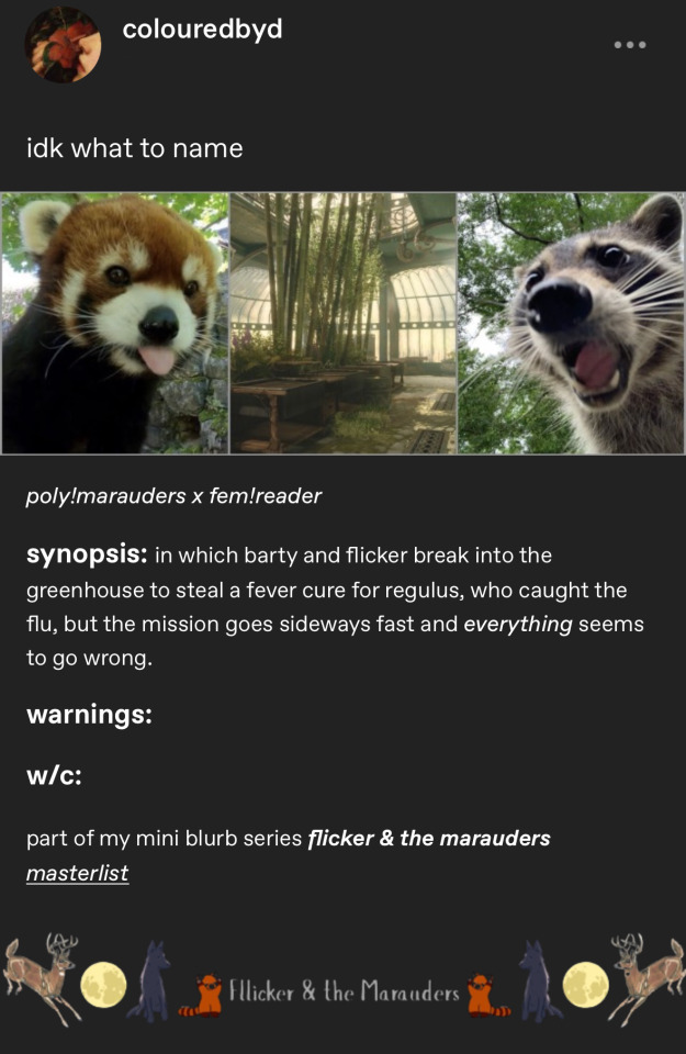 Tumblr media
