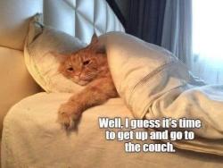 memewhore:I save time by sleeping on the couch every night. 
