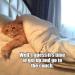 memewhore:I save time by sleeping on the couch every night. 