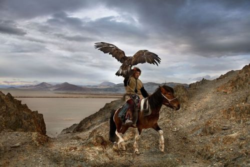 awesome-picz:Photographs That Explore The Relationship Between Animals And Humans By Steve McCurry .