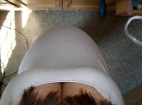 bellywacher:hyperpregnant: I’m sure a lot of my female followers wish they were seeing this when the