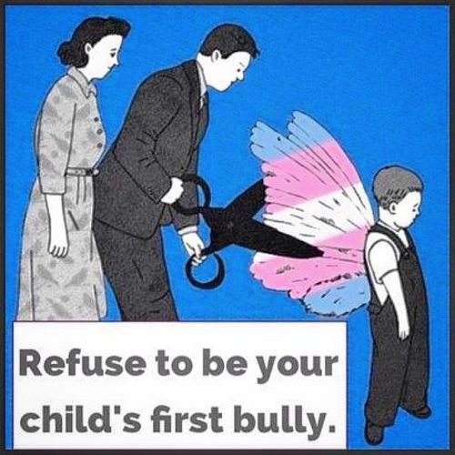 Refuse to be your child’s first bully! #gender #genderqueer #questioning #trans #transgendered #transgender #cis #queer #gay #glbt #rainbow #parenting #inspiration #butterfly #pride #dontcliptheirwings #clippingwings #bully #harrassment #bullying