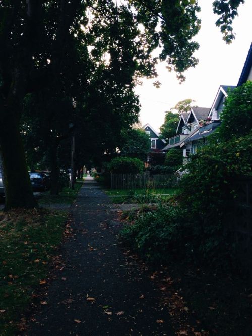 XXX michelle-ellis:  My new neighborhood is so photo