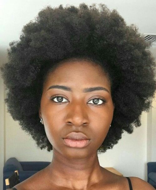 hairhunny:4b/4c hair appreciation post 