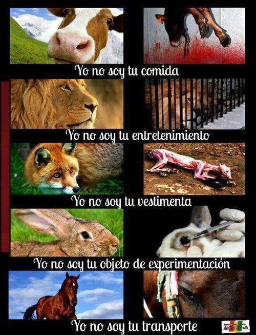 paalau:  No son objetos, son nuestros hermanos. 