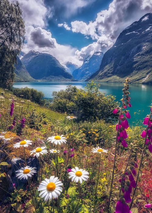 XXX coiour-my-world:Beautiful summer day in Lovatnet, photo