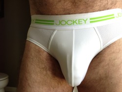 pupsunderwearpics:  Pup in Jockey Sport Briefs