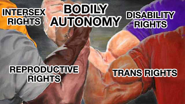 four buff arms clasped together labeled reproductive rights, trans rights, disability rights, and intersex rights. where they clasp together is labeled "bodily autonomy" in bold