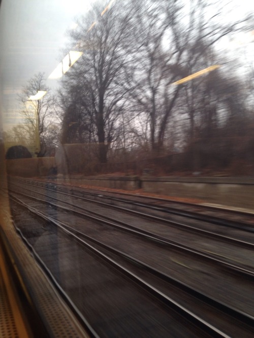 chickiedeare:@into-the-weedsTrains for Christmas! These are from the metro north line, running from 