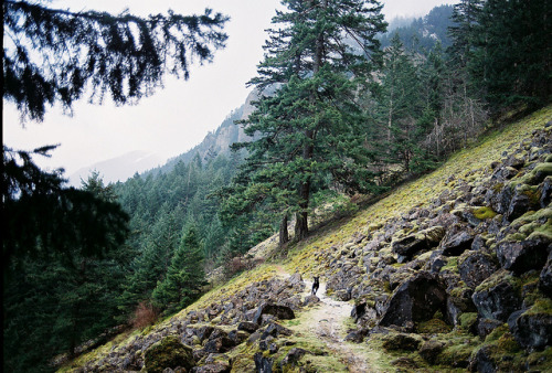 natureac:  This blog will make you feel at peace 