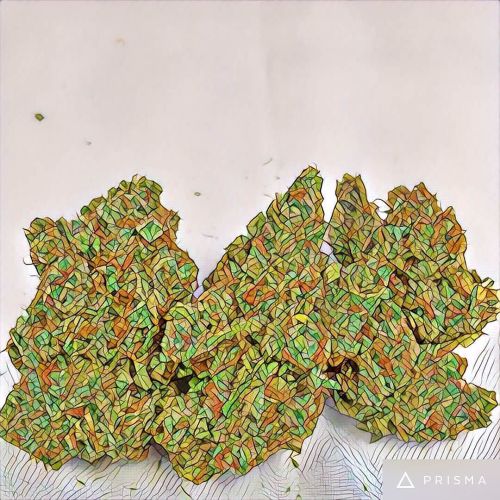 Orange cookies http://ift.tt/2aXvUto