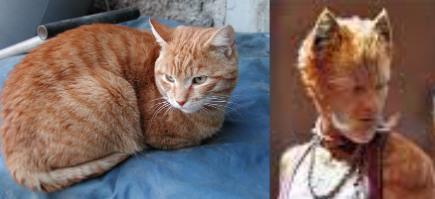 Cats 2019 As Real Cats Cause Why Not.part 3 The Toms