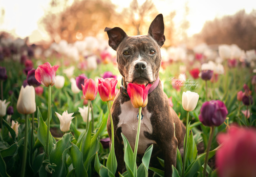 Evie is here to deliver spring flowers and all the vibrancy of the season. 