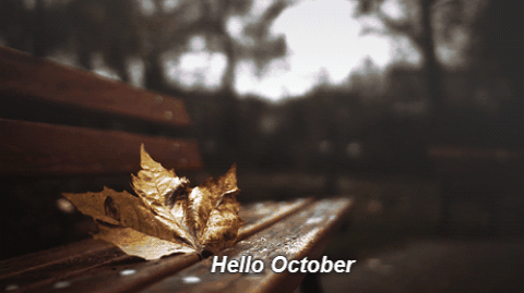 Hello.