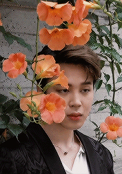 Jimin X Flowers