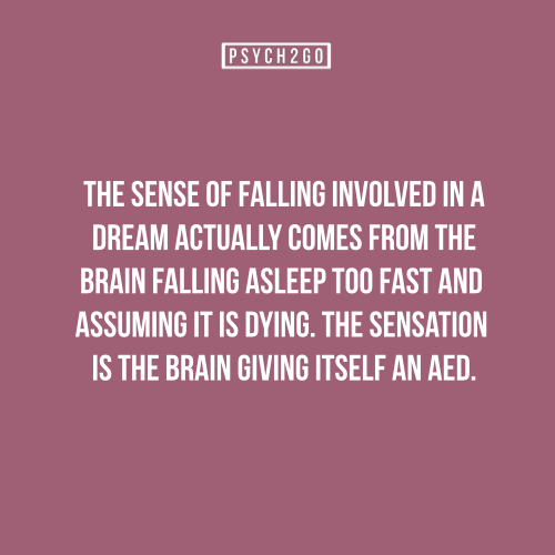 Neurolove.me