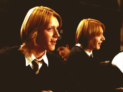 Family ( Fred Weasley X Reader )