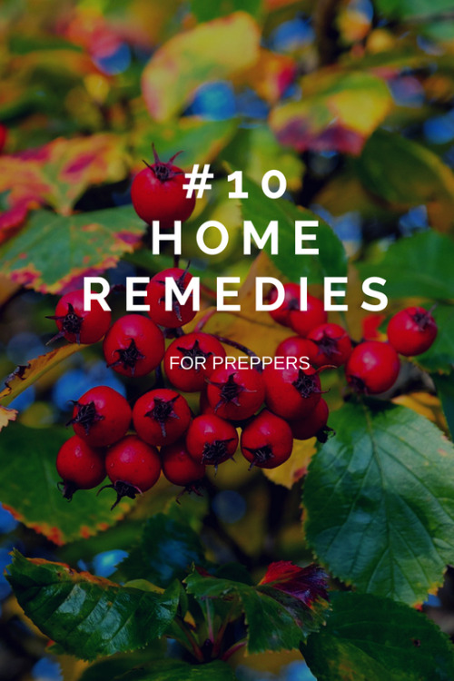 #10 Critical Home Remedy Supplies for Preppers
Panic is what most people are likely to experience in times of emergencies and the aftermath of a terrorist attack or a natural disaster.
People will start rushing to the stores and malls to pick up all...