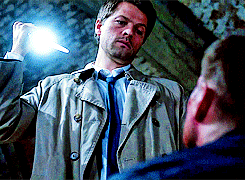 mishasminions:  NO ONE SHIPS DESTIEL MORE THAN COCKLES DO 