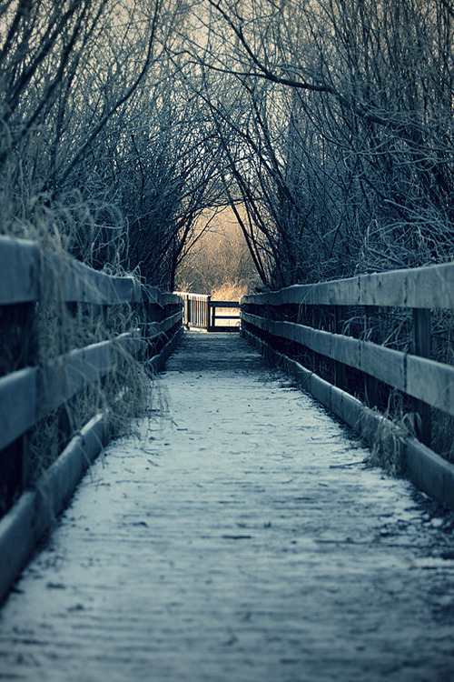 0rient-express:   Contraste | by nicolas bouvier | Website.        