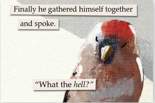 Trc Characters As Troubled Birds