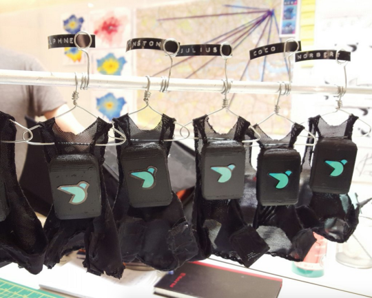 A pigeon pollution patrol is flying around London wearing tiny backpacks