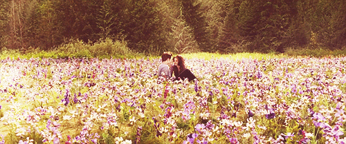 dearforks:I have died everyday waiting for you Darling don’t be afraid I have loved you For a 