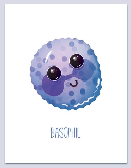 Cute Components of Blood