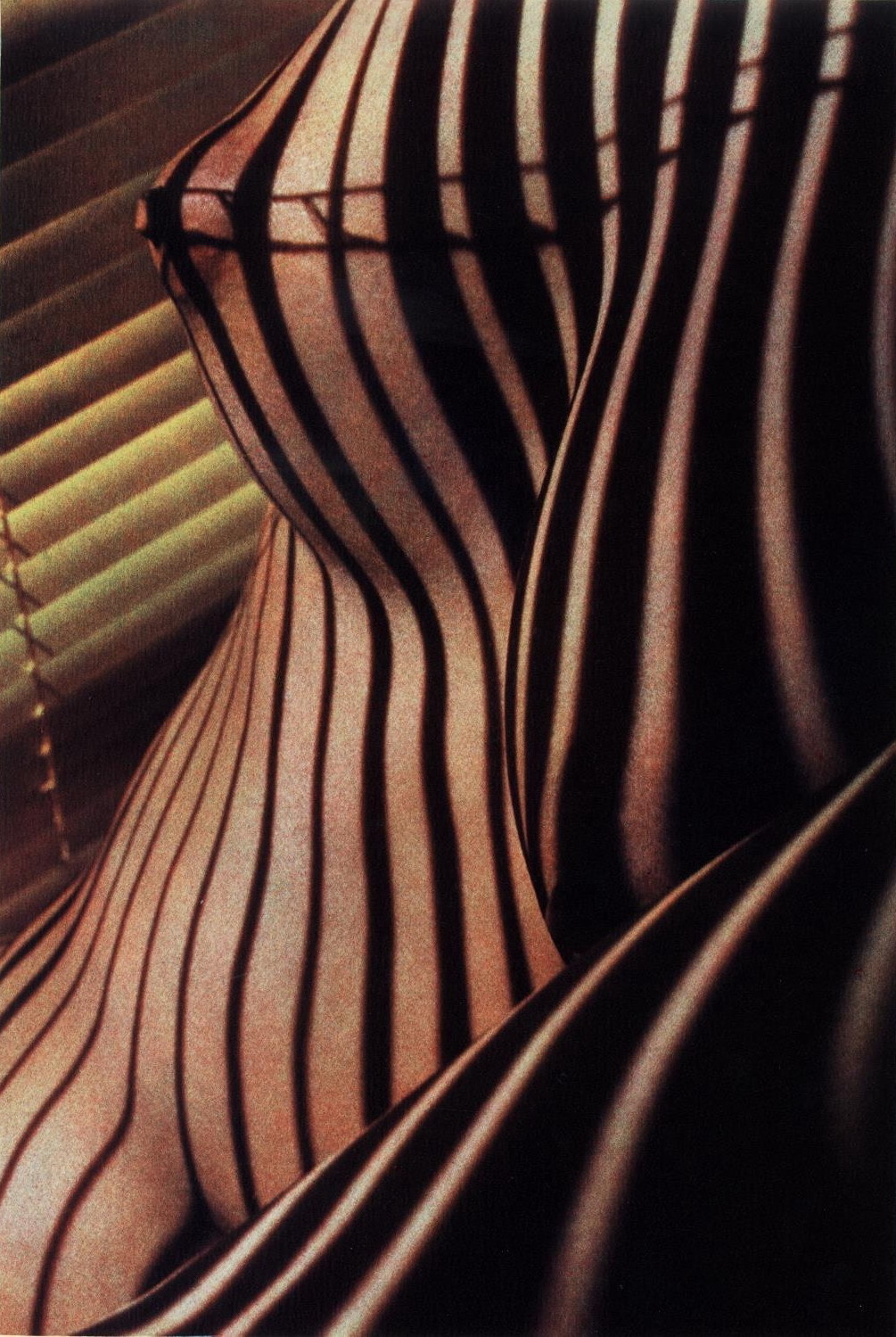 massiveobjectmoon:    Lucien Clergue, Nude Venetian Store I, New York, 1988  