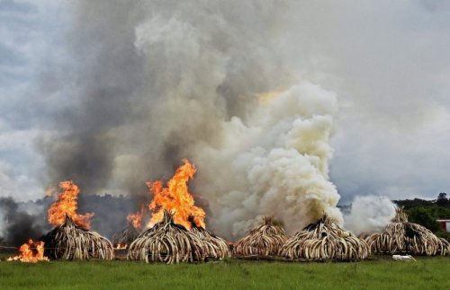 PHOTO: CARL DE SOUZA–AFP/GETTY IMAGESTop 100 Photos of the Year 2016TIME’s photo editors