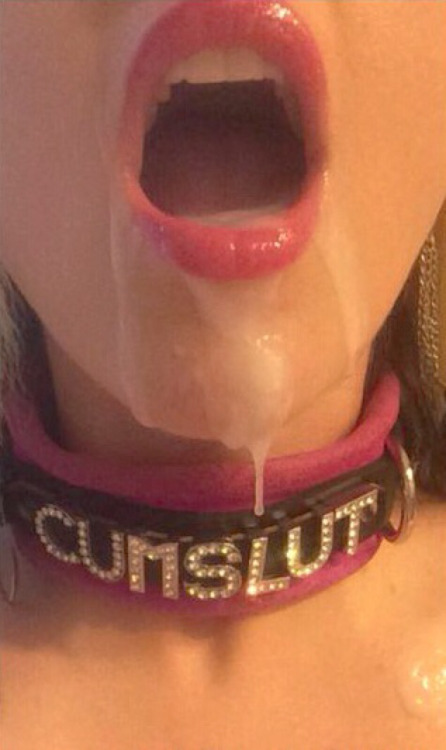 Hottest ladyboys, shemales, trannies on my blog