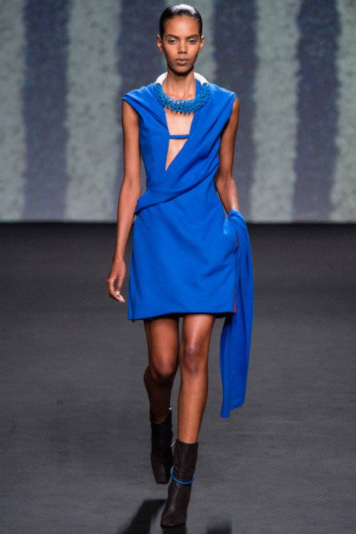 blackfashion:  Christian Dior Fall 2013 Couture