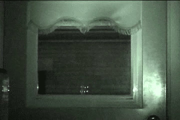 cyn2211:  Creepy cat… 