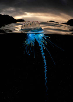 blazepress:Amazing Ocean Photography Shows
