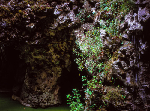 Sintra, Portugal.Mamiya 645 + Fuji Velvia