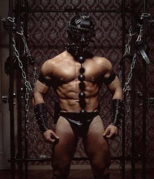 Gay fetish twinks in gay bondage, gay bdsm, hardcore fetish gay porn.