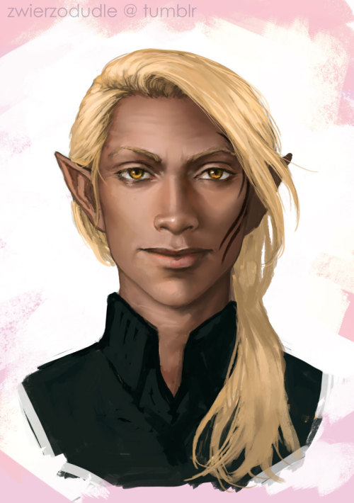 zwierzodudle:here, have a zevran╰( ͡° ͜ʖ ͡° )つ──☆*:・ﾟ