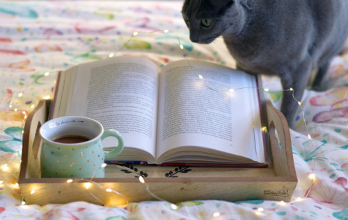 a-gathering-of-books: love4my2cats: Our Sunday morning was a bliss :) Chilled reading Sunday