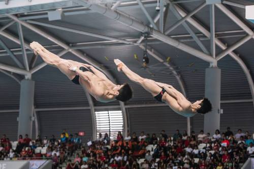 bryankhoo: jasperbud: “Men’s 3m Synchronized Springboard - Mark and Timothy Lee won Silver in the Me