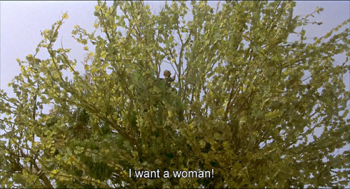 Amarcord (1973)