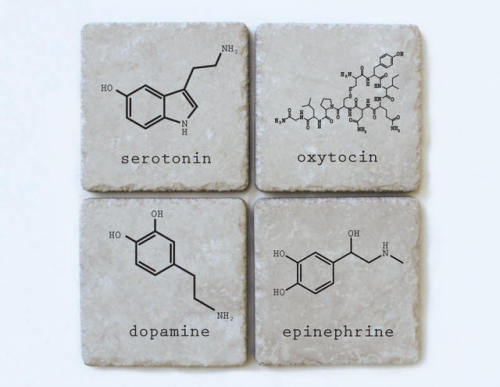 Chemistry of Love Coasters //SeriousGooseDesigns