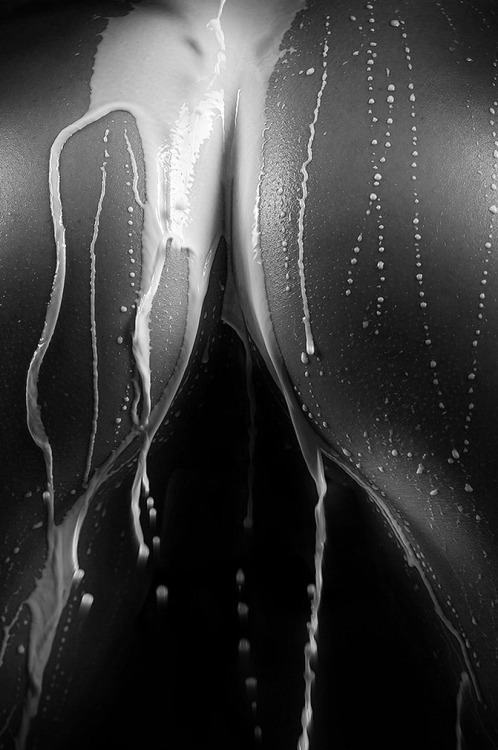 Quello che cerchi
