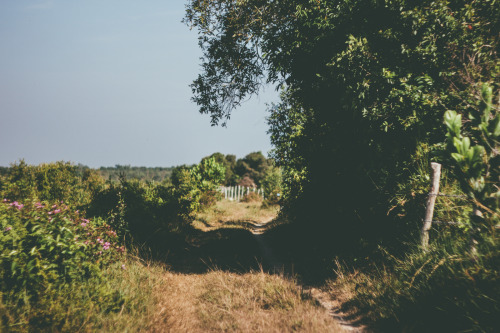 niknyllenne:  Photographing the moment because you know this place will change someday .© niknyllenne | Blogger 