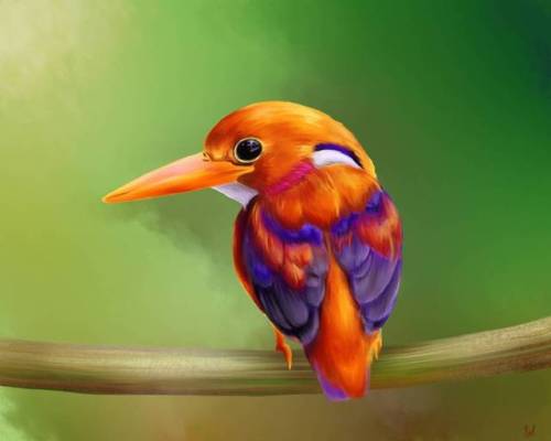 First digital bird painting, still a lot I need to improve on but it’s a start.  #digitalart #