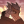 aldermoth:To @SharkSurge ~