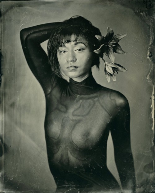 brookelabrie:  cassie // with lilies8x10 tintype© brookelabrie