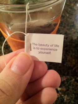 karenelizabert:  I think my tea is telling