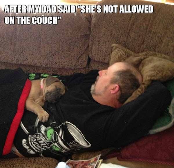 pr1nceshawn:It’s Impossible Not To Fall In Love With Dogs.