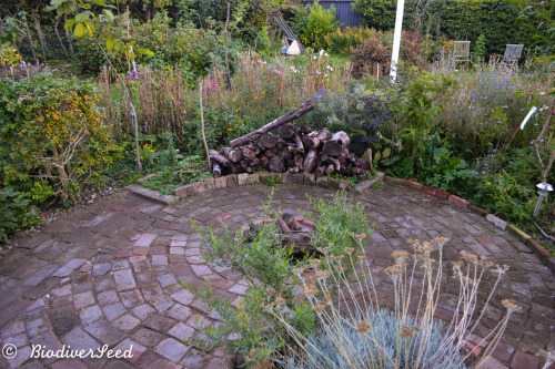 biodiverseed:New, improved and finally finished:The firepit and herb spiralI started building this a